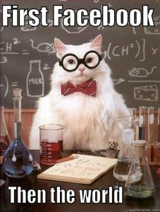 Chemistry_Cat_Quickmeme_by_Geneo